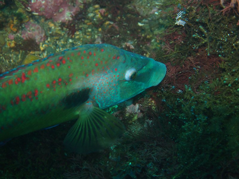 2013-06-10 12-09-37 Mary.JPG